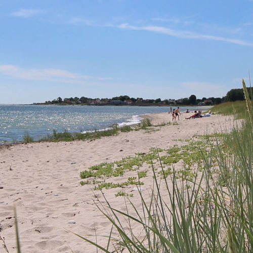 Läs mer info om Ljugarn